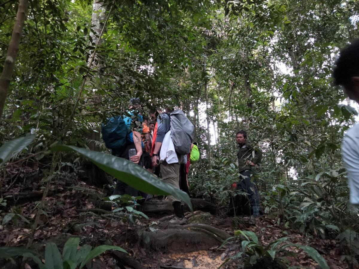 Asim Paris Guesthouse & Jungle Trekking บูกิตลาวัง ภายนอก รูปภาพ