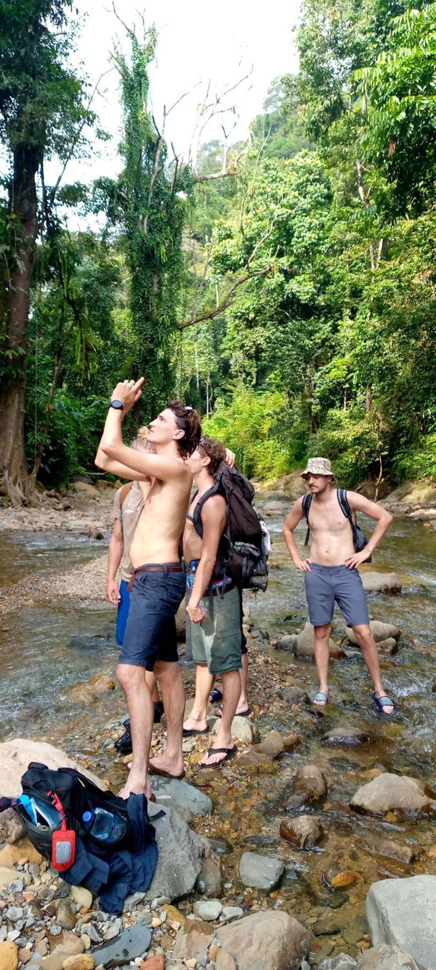 Asim Paris Guesthouse & Jungle Trekking บูกิตลาวัง ภายนอก รูปภาพ