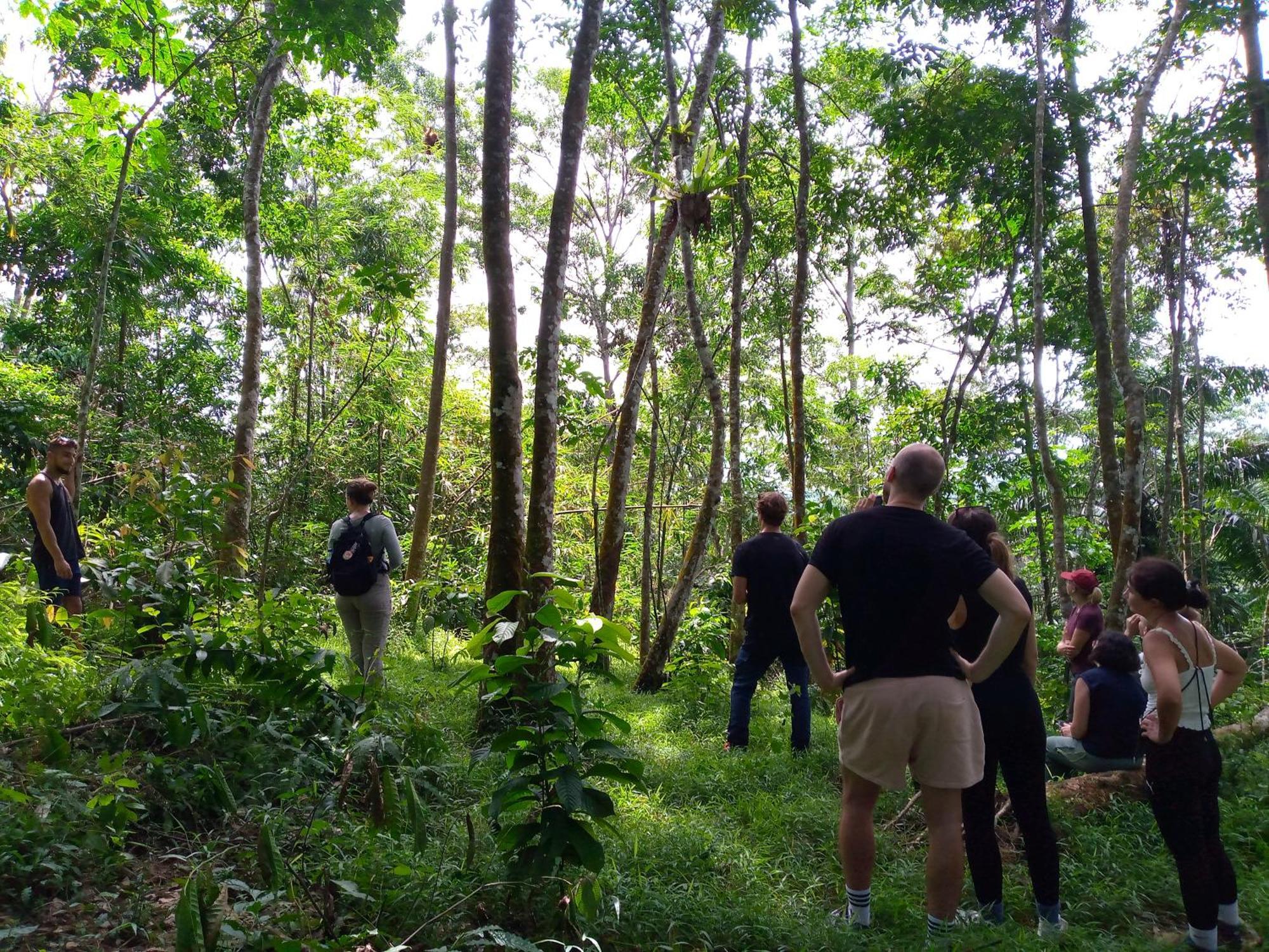 Asim Paris Guesthouse & Jungle Trekking บูกิตลาวัง ภายนอก รูปภาพ
