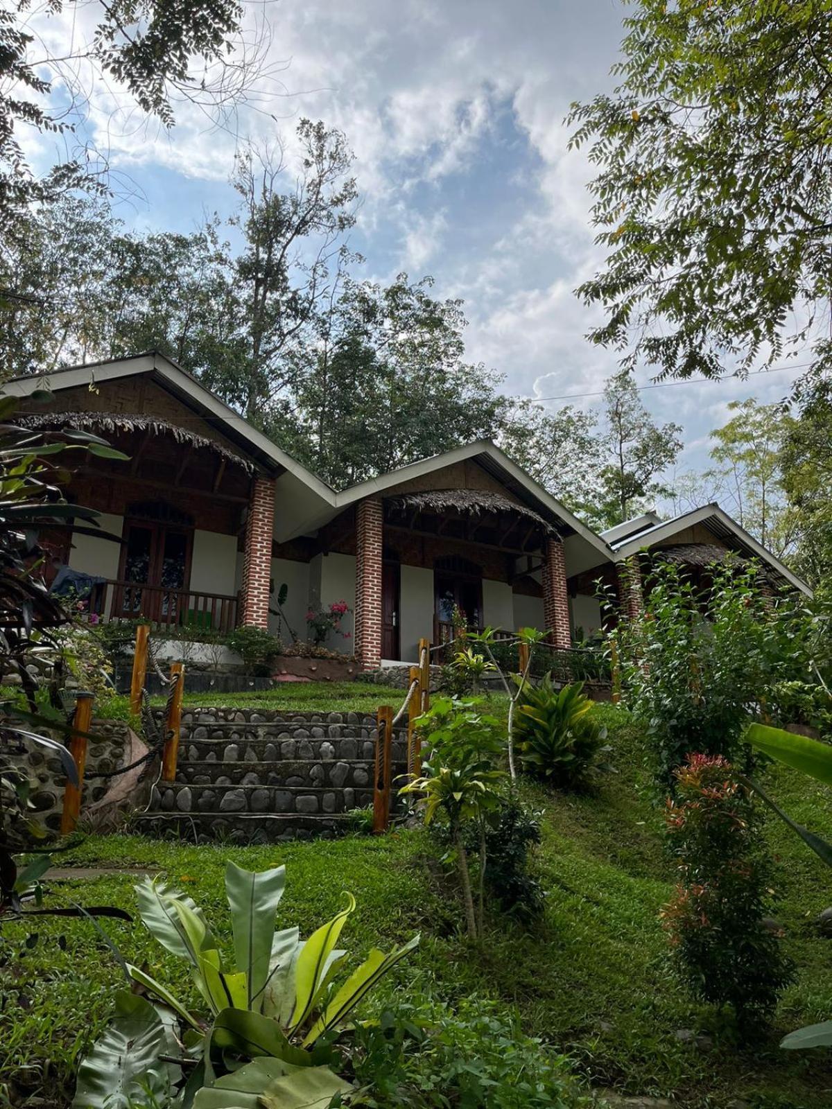 Asim Paris Guesthouse & Jungle Trekking บูกิตลาวัง ภายนอก รูปภาพ