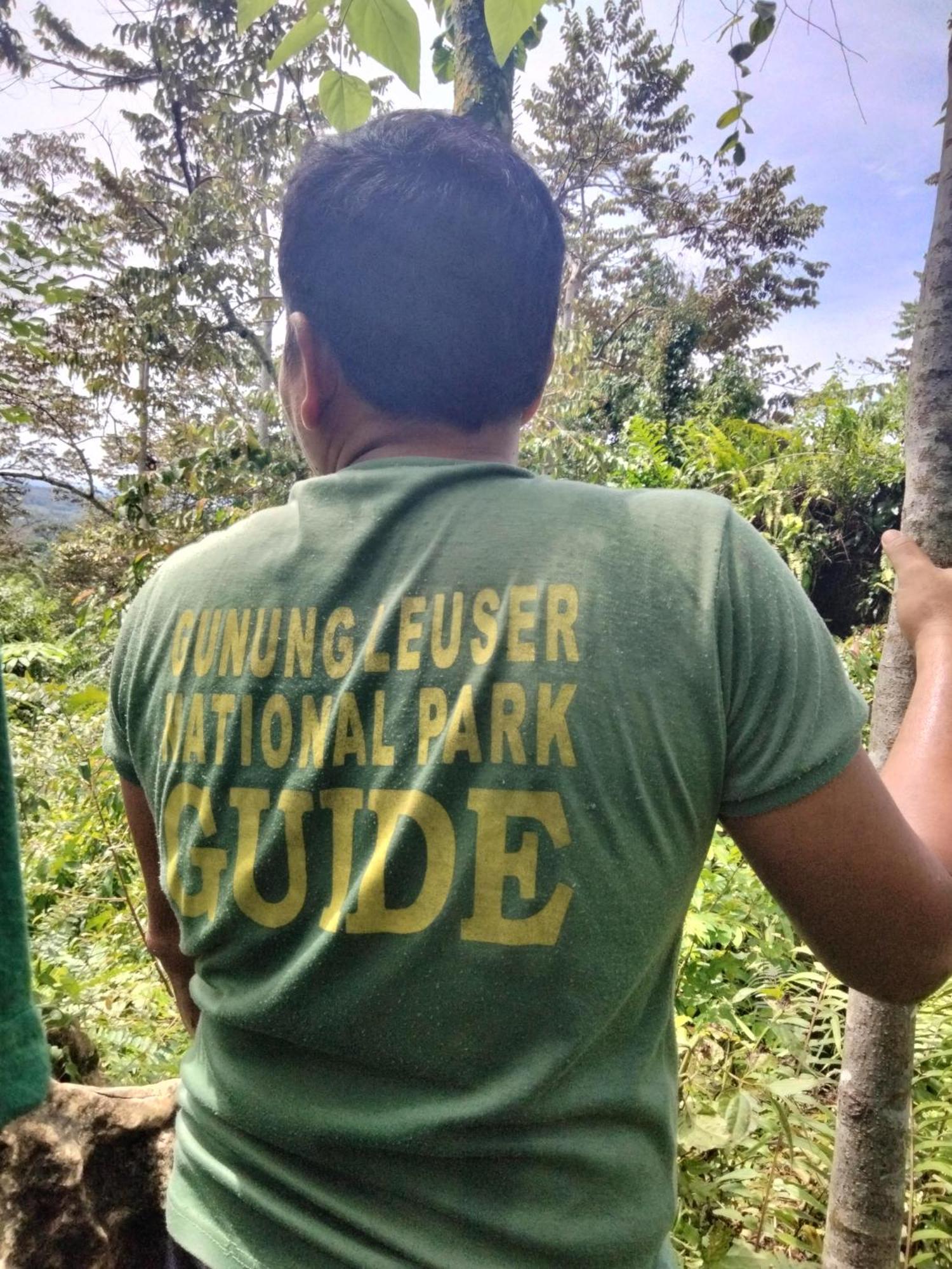 Asim Paris Guesthouse & Jungle Trekking บูกิตลาวัง ภายนอก รูปภาพ