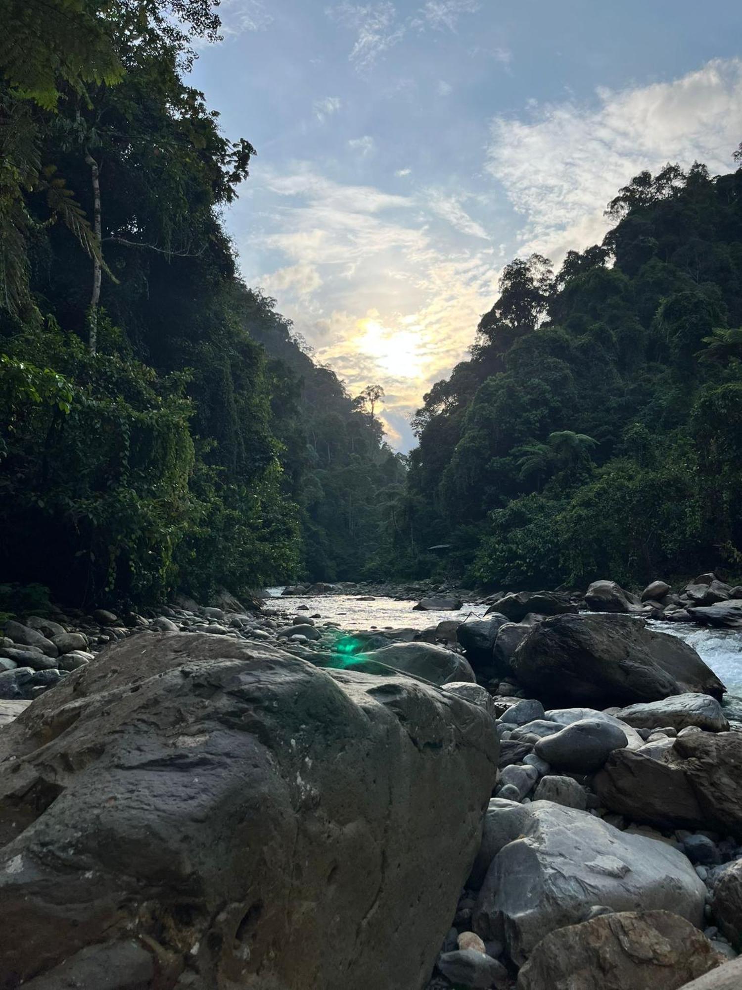 Asim Paris Guesthouse & Jungle Trekking บูกิตลาวัง ภายนอก รูปภาพ