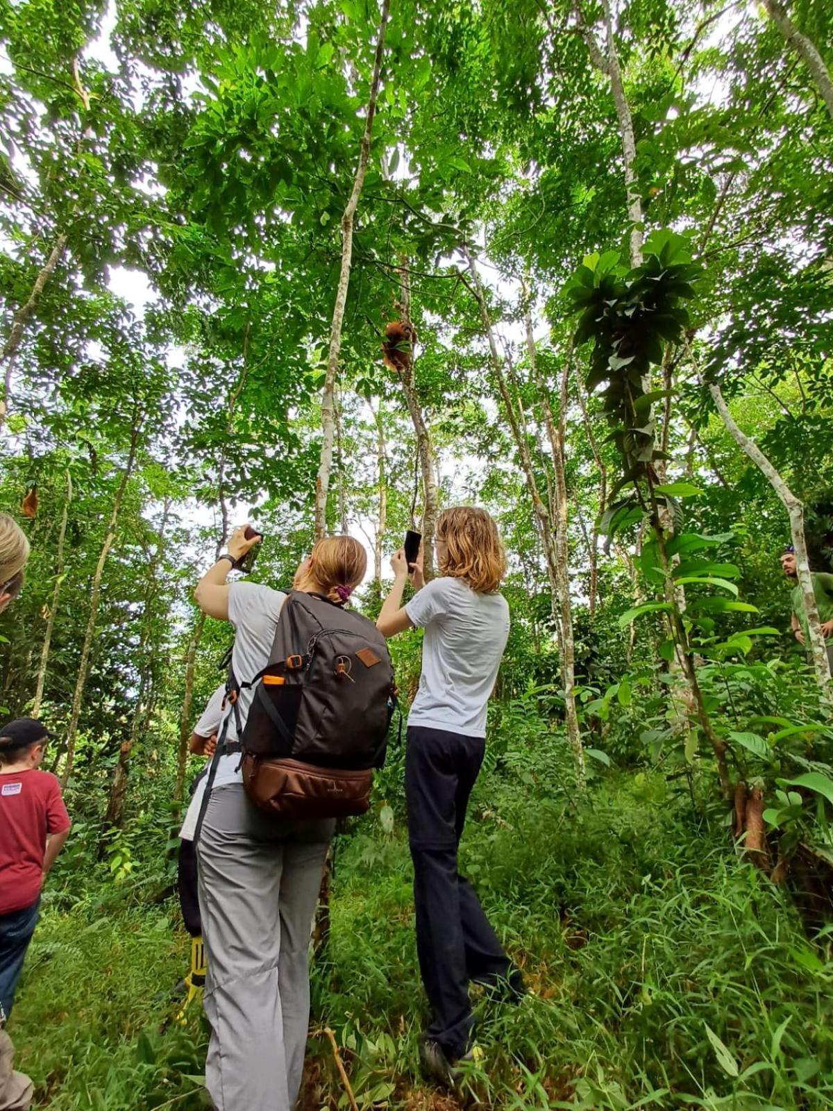 Asim Paris Guesthouse & Jungle Trekking บูกิตลาวัง ภายนอก รูปภาพ
