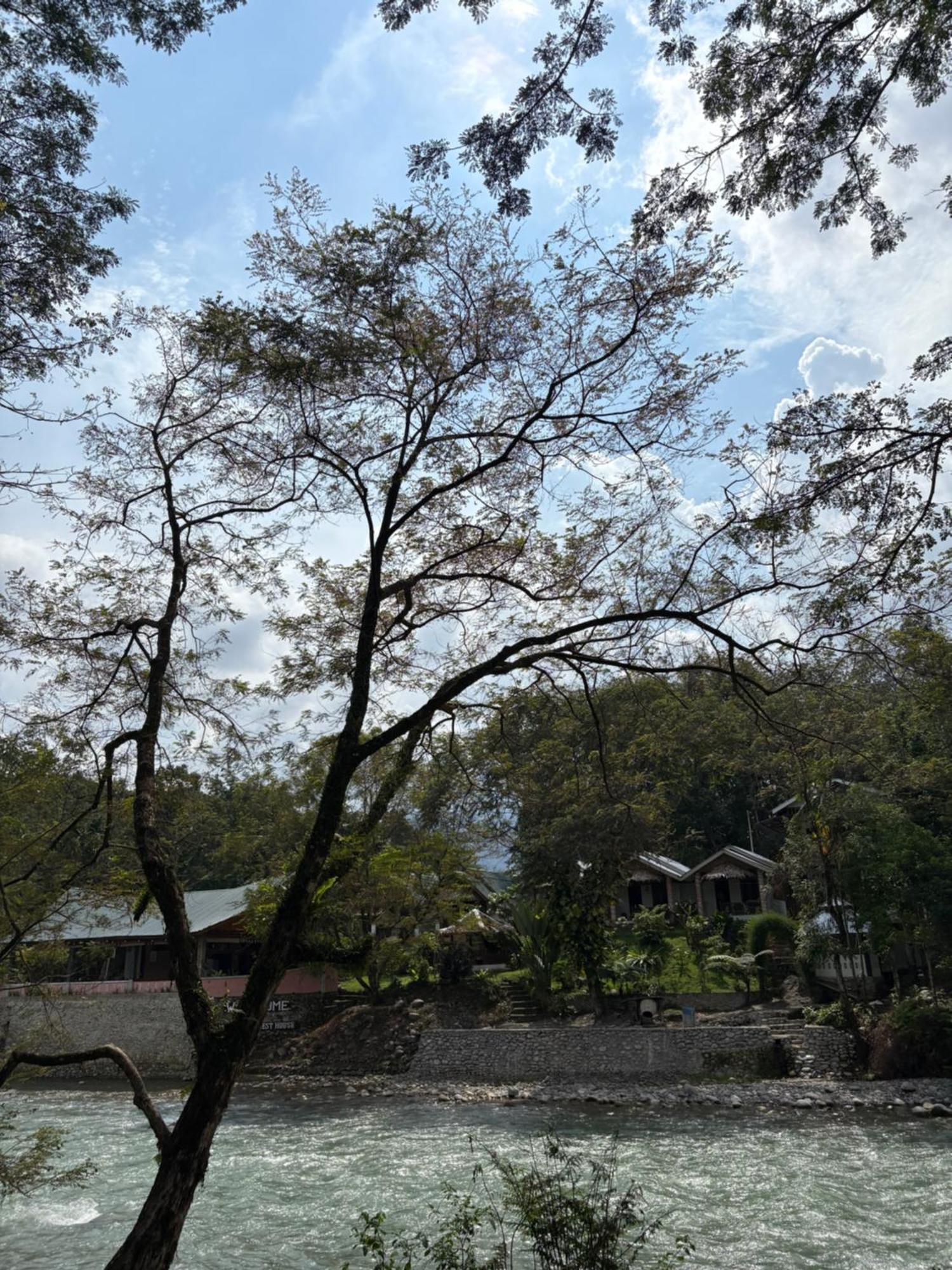 Asim Paris Guesthouse & Jungle Trekking บูกิตลาวัง ภายนอก รูปภาพ